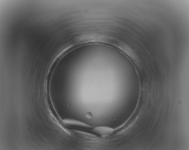 X0000083040790200702091408