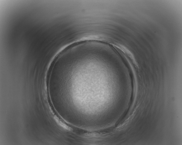 X0000083040792200702091408