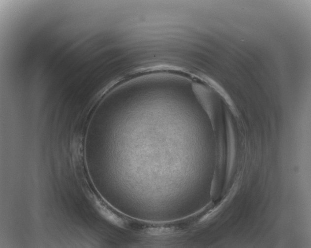 X0000083040793200702091408