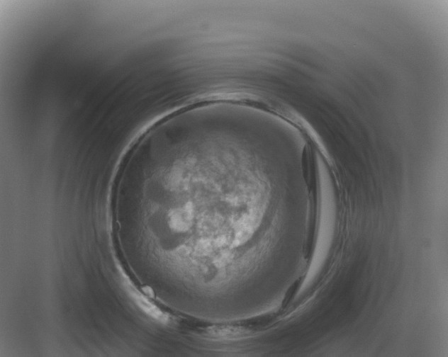 X0000083040795200702091407