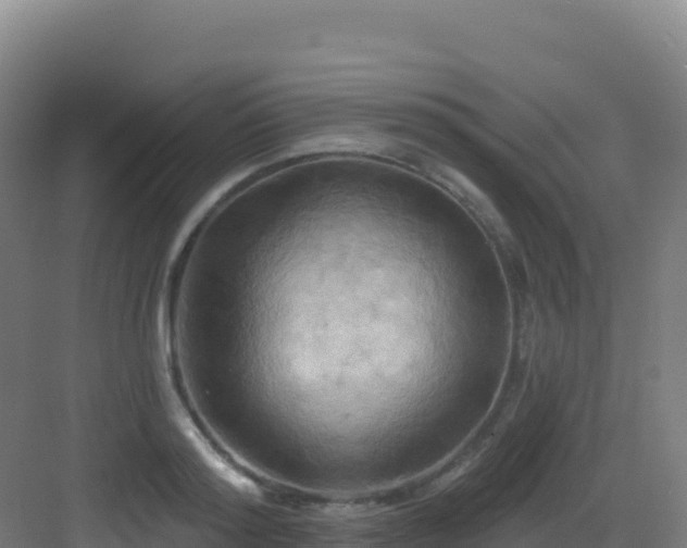 X0000083040796200702091407