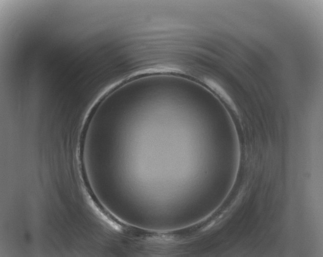 X0000083040797200702091407