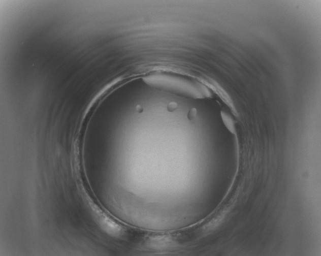 X0000083040798200702091407