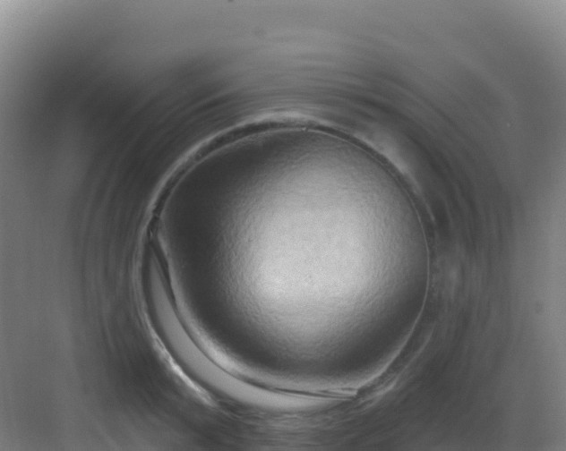 X0000083040799200702091407