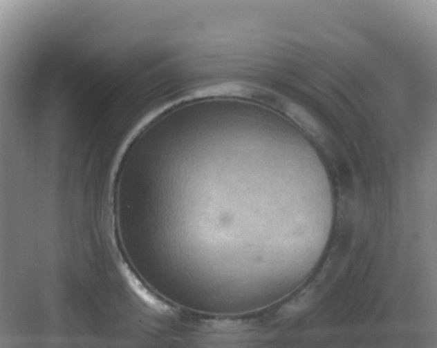 X0000083040800200702091407