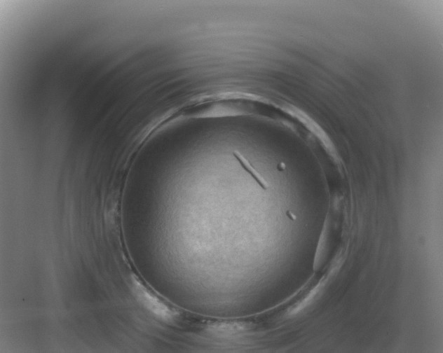 X0000083040801200702091407