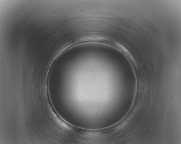 X0000083040802200702091407