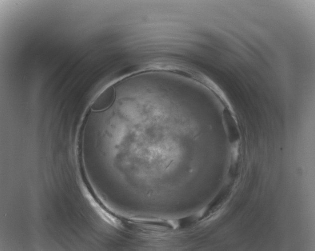 X0000083040803200702091407