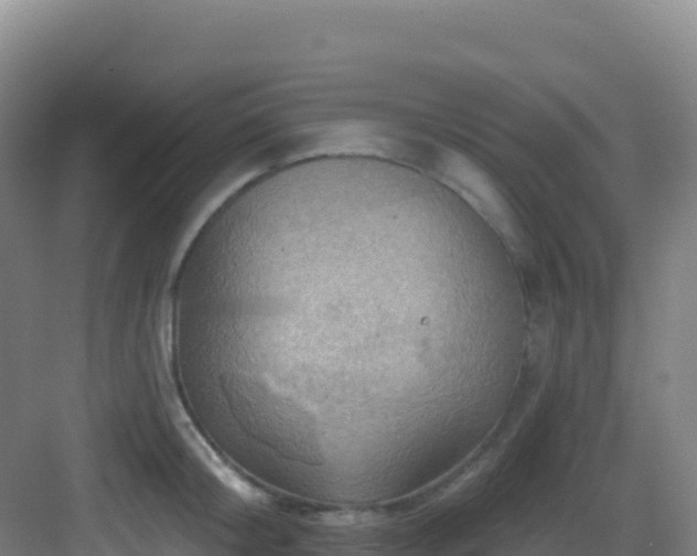 X0000083040804200702091407