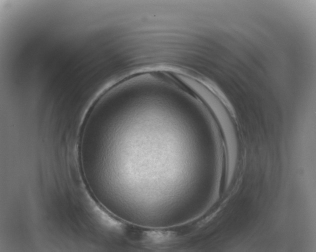 X0000083040805200702091407