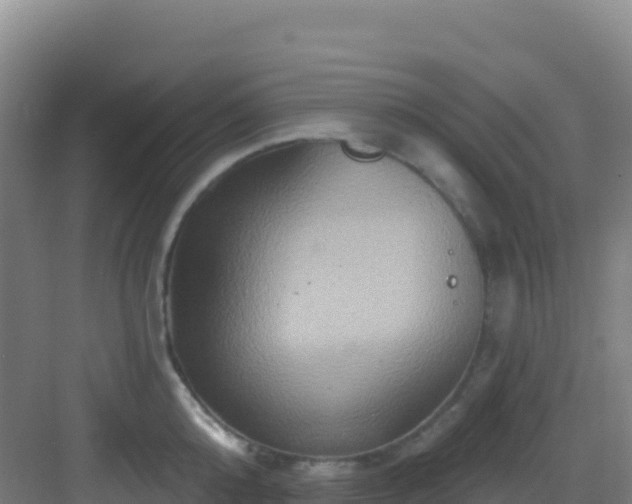 X0000083040808200702091407