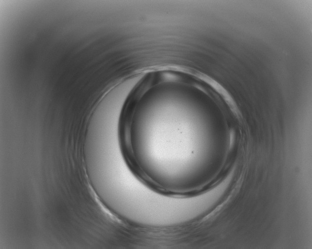 X0000083040809200702091407