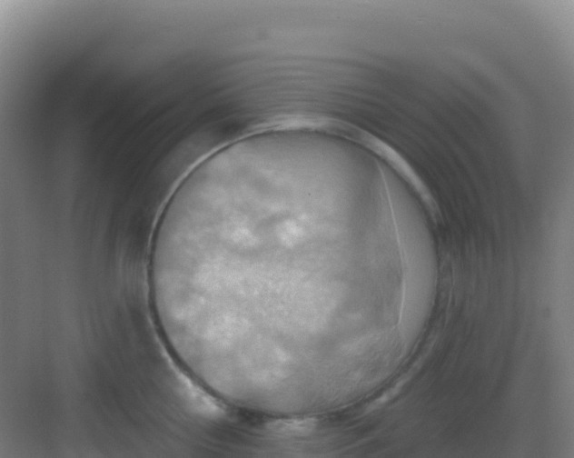 X0000083040810200702091407