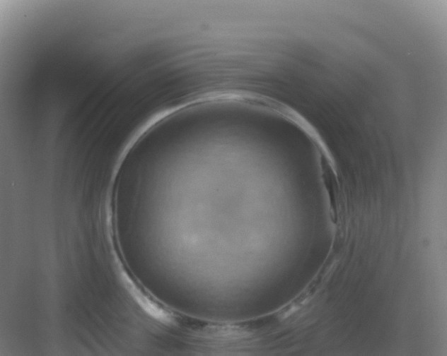 X0000083040811200702091407