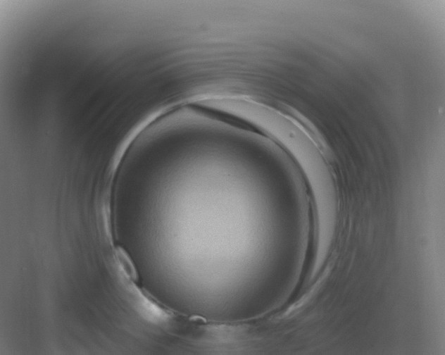 X0000083040812200702091407