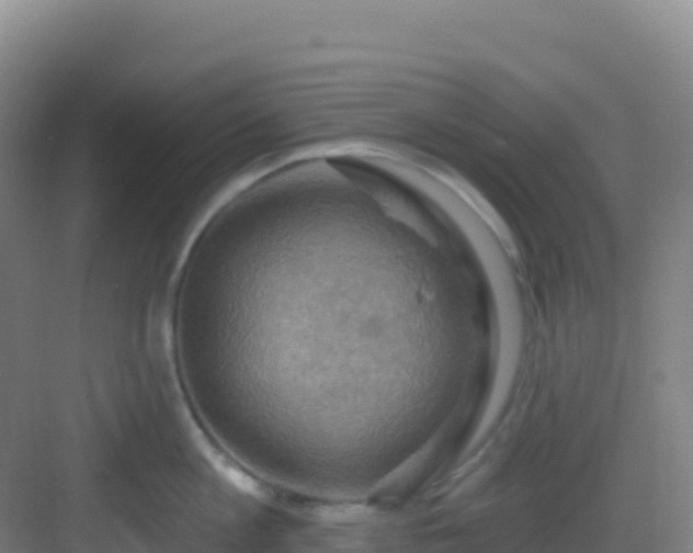 X0000083040813200702091407