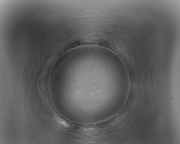 X0000083040817200702091406