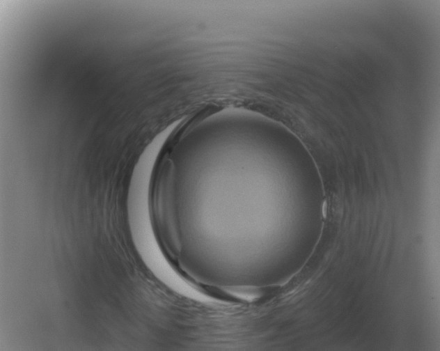 X0000083040818200702091406