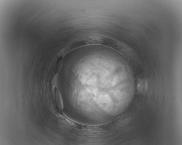 X0000083040819200702091406