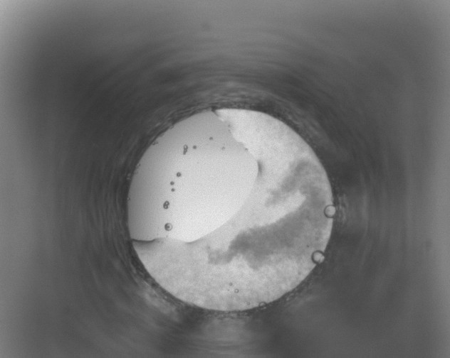 X0000083040820200702091406