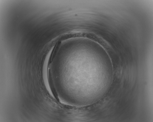 X0000083040821200702091406