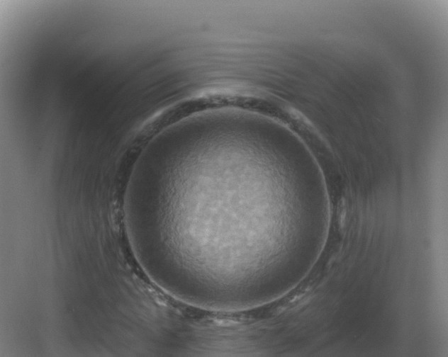 X0000083040822200702091406