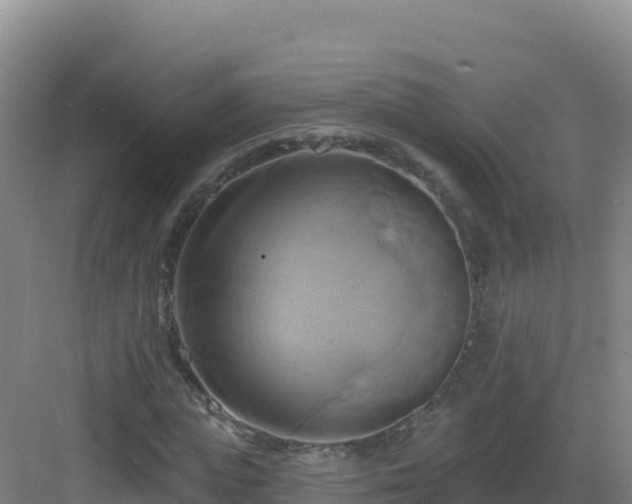 X0000083040823200702091406