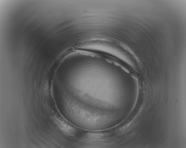 X0000083040825200702091406