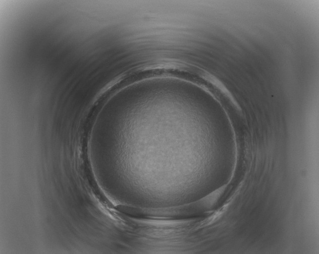 X0000083040826200702091406