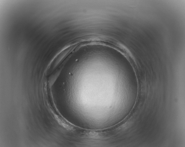 X0000083040827200702091406