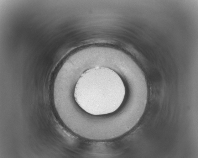 X0000083040828200702091407