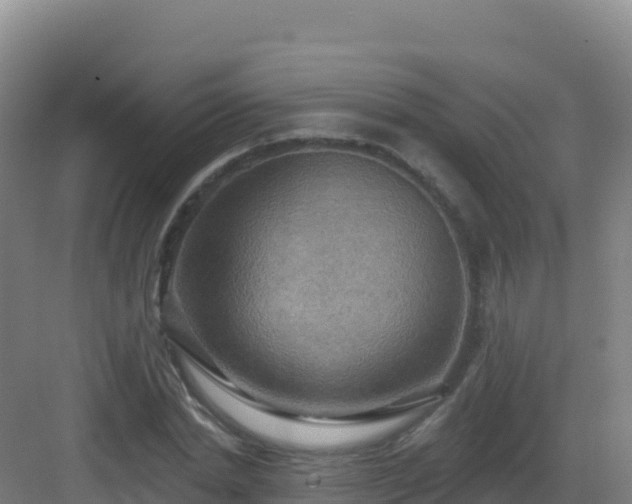 X0000083040830200702091407