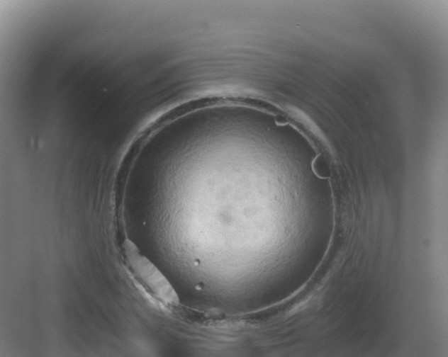 X0000083040831200702091407