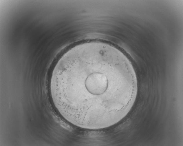 X0000083040832200702091407