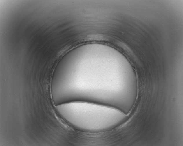 X0000083040833200702091407