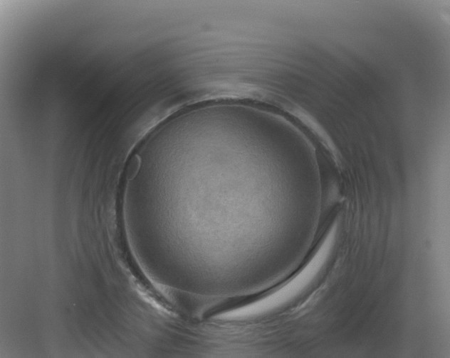 X0000083040834200702091407