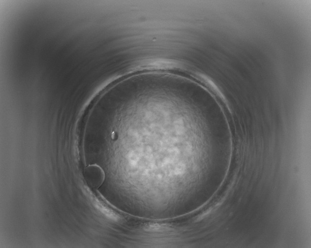 X0000083040835200702091407