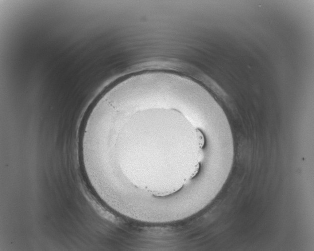 X0000083040836200702091407