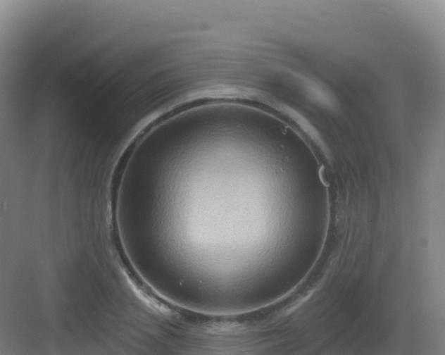 X0000083040837200702091407