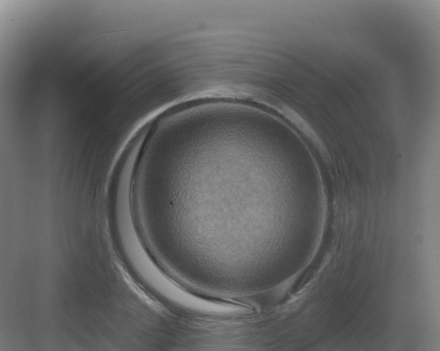 X0000083040838200702091407