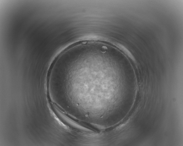 X0000083040839200702091407