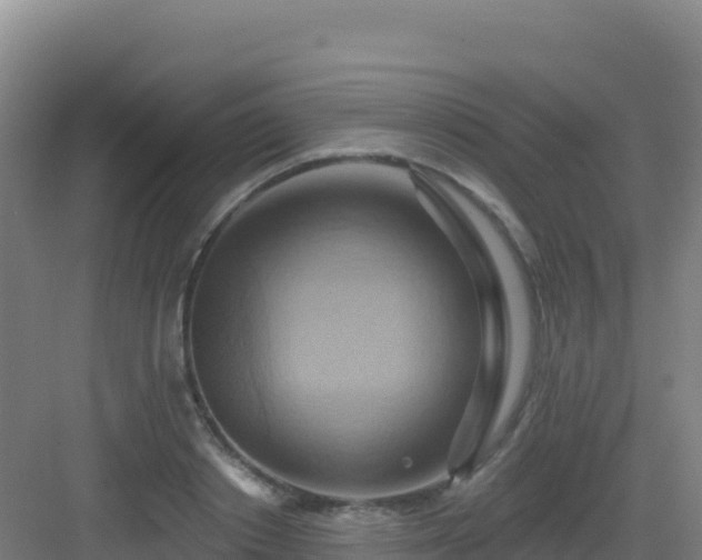 X0000083040842200702091407