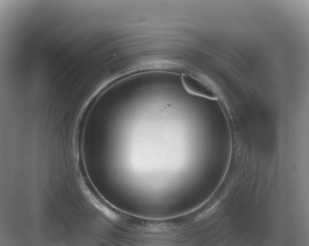 X0000083040843200702091407