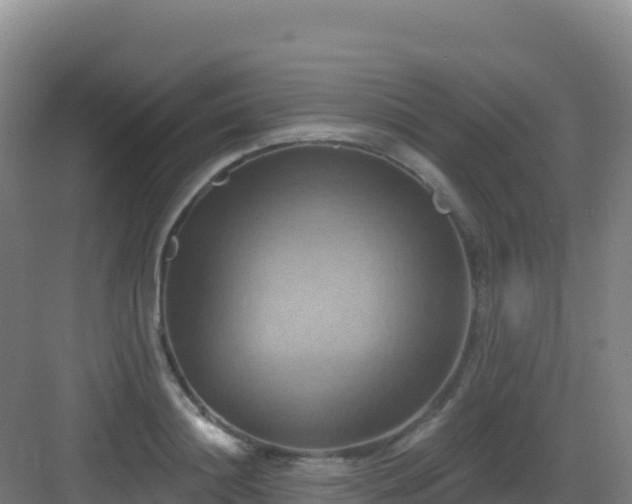 X0000083040844200702091407