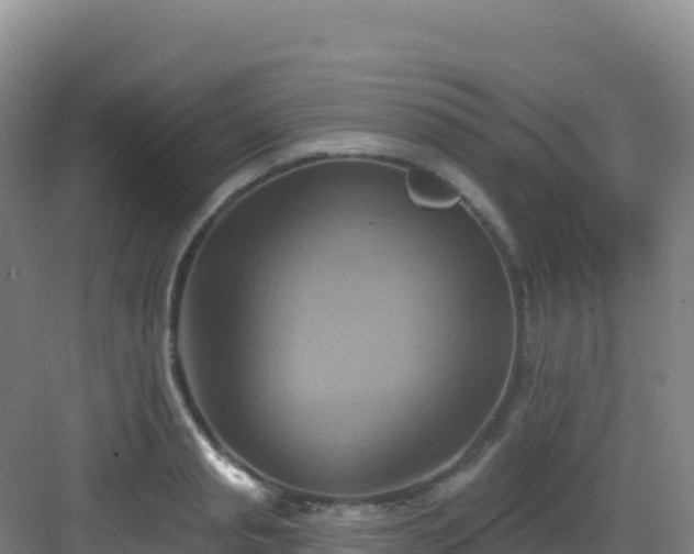 X0000083040845200702091407