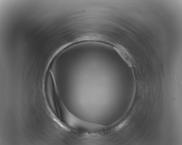 X0000083040846200702091407