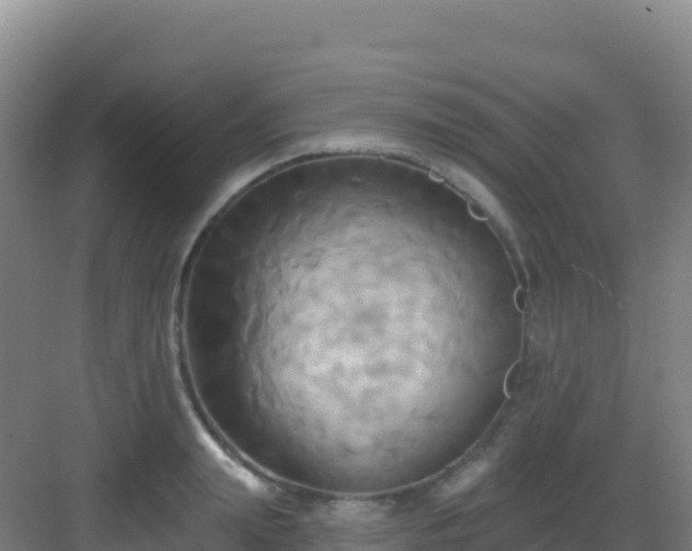 X0000083040847200702091407