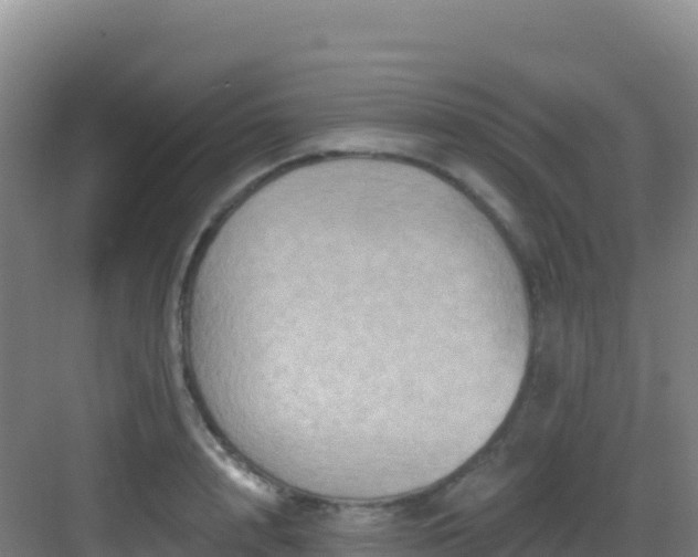 X0000083040848200702091407