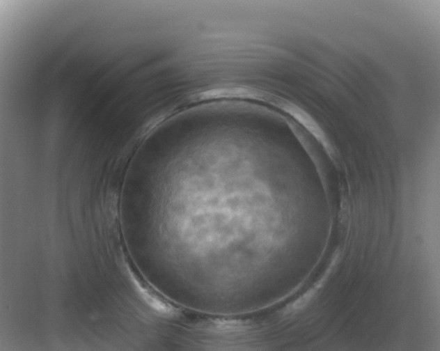 X0000083040849200702091407