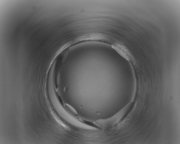 X0000083040850200702091407